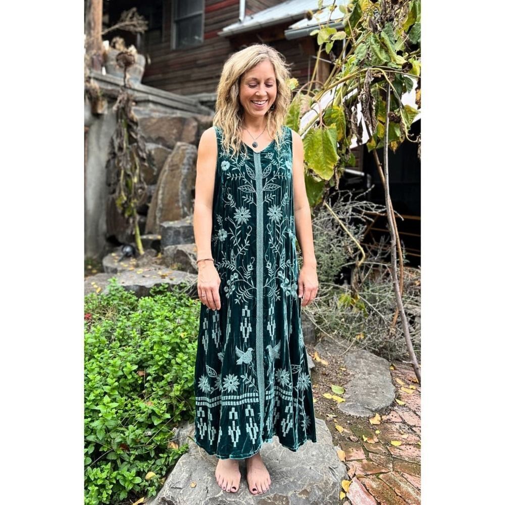 Johnny Was  Georgina Velvet Maxi Dress in Deep Teal small